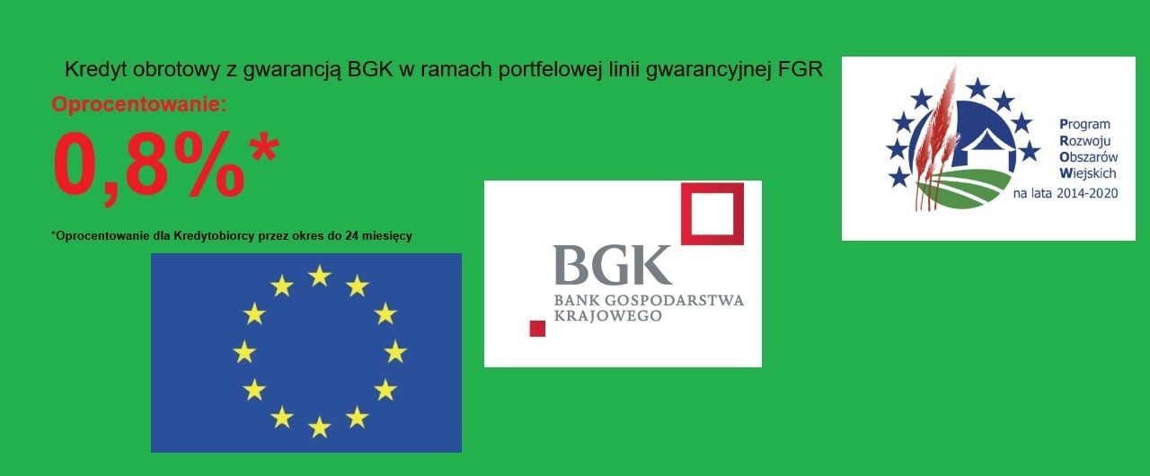 Kredet z gwarancją